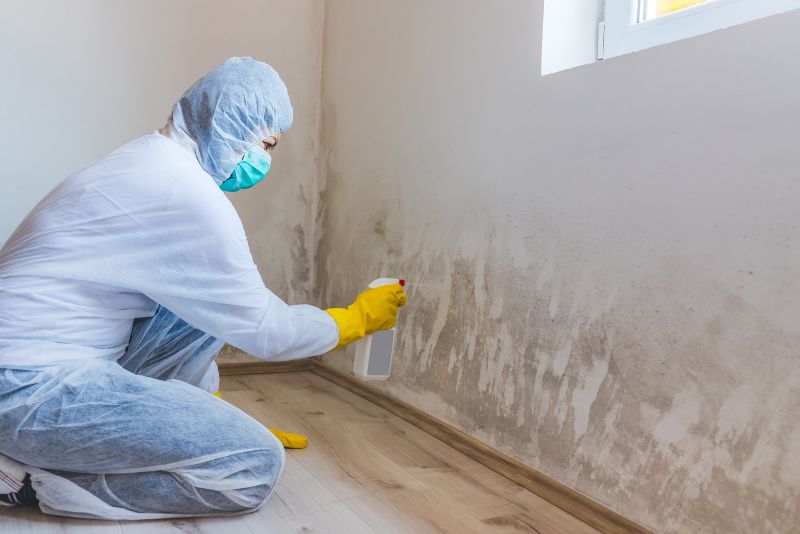 a man in a hazmat suit cleaning mould