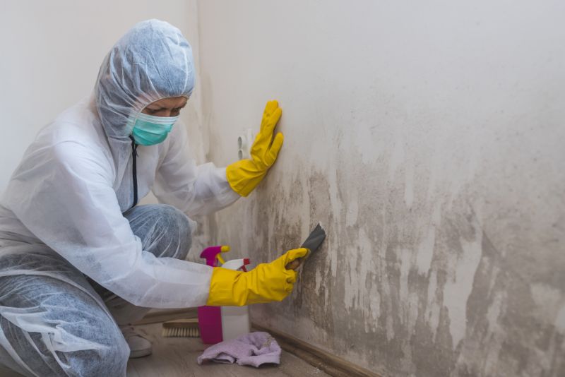specialist wearing protective and cleaning mould from a wall