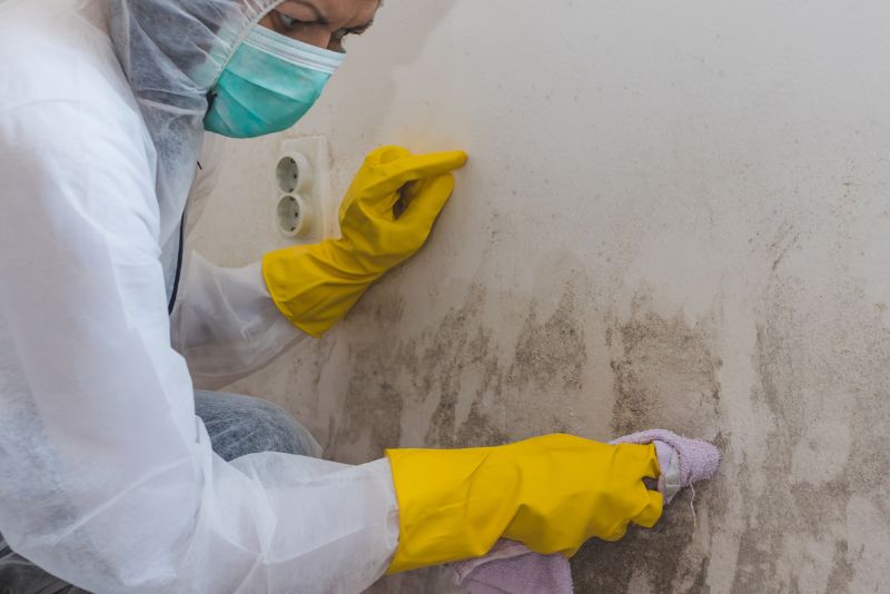 mould cleaning nsw