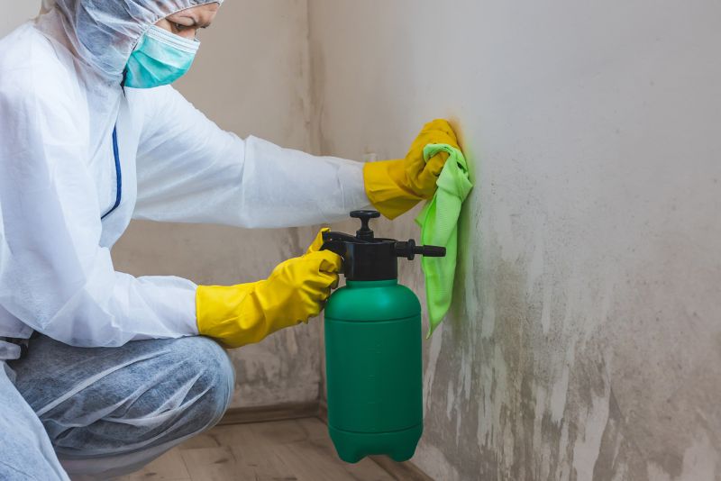 mould removal experts newcastle